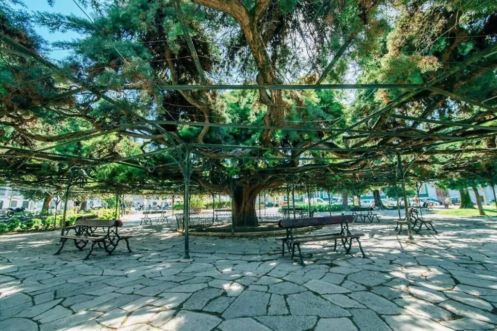 Pen-Arts Apartment- Principe Real Garden - Bairro Alto Lisboa Portugália
